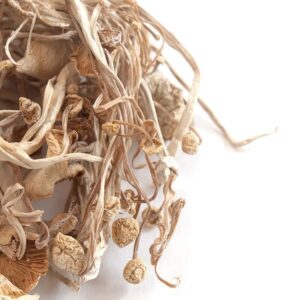 Enoki Mushrooms Near Me - Buy Mushrooms Online Canada