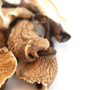 Native Forest Organic Mushrooms - Mushrooms Near Me Canada