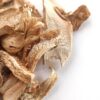 Matsutake Mushrooms  –  Shrooms For Sale Canada