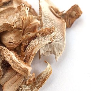 Matsutake Mushrooms  –  Shrooms For Sale Canada
