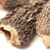 Morel Mushrooms - Mushrooms near me