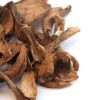Porcini Mushrooms - Shrooms For Sale Canada