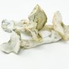 Albino A+ Magic Mushroom - Shrooms Near Me