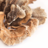 Turkey Tail Mushroom​ - Mushrooms Store Near Me